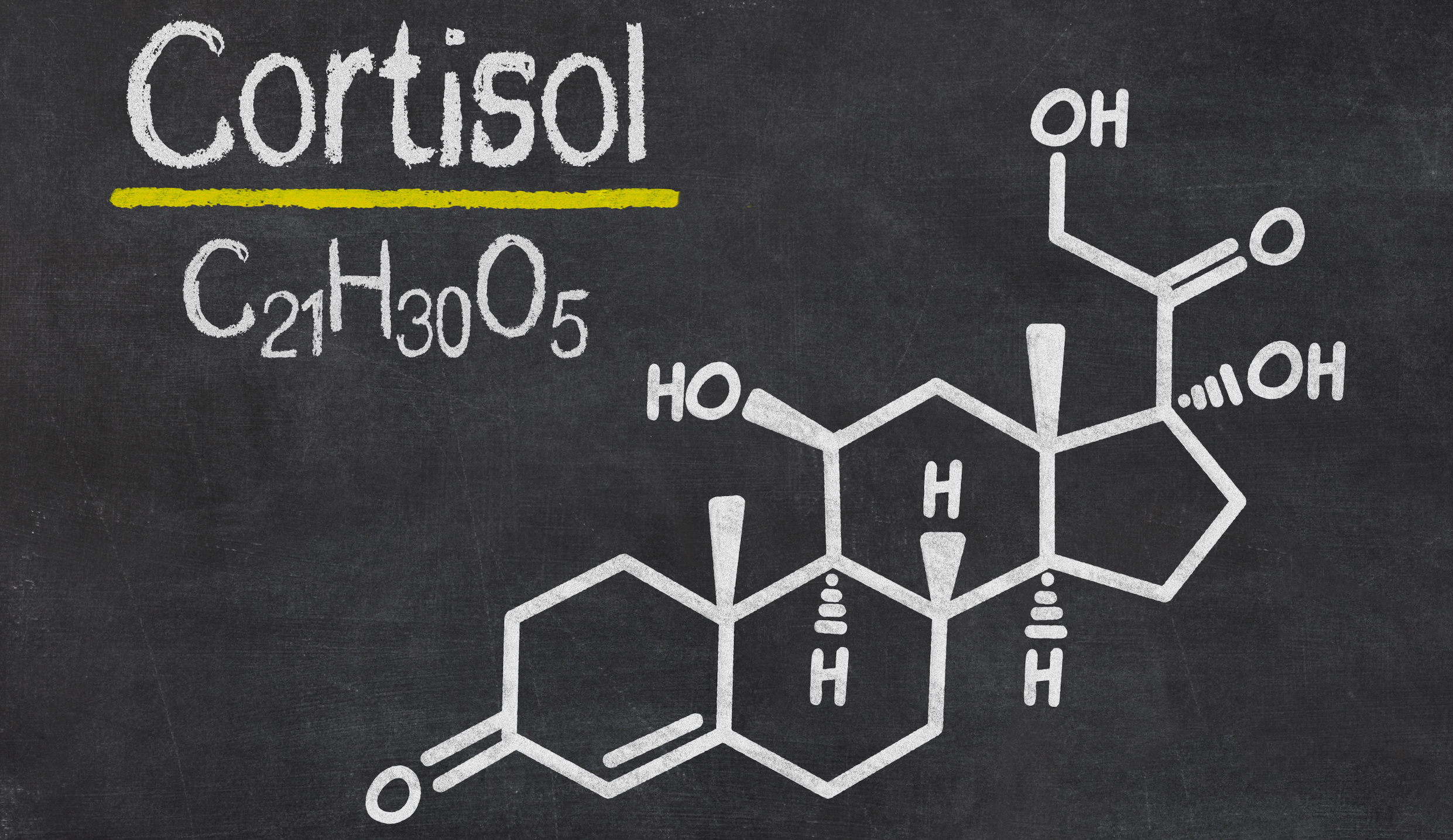 Natural Weight Loss Colorado Springs